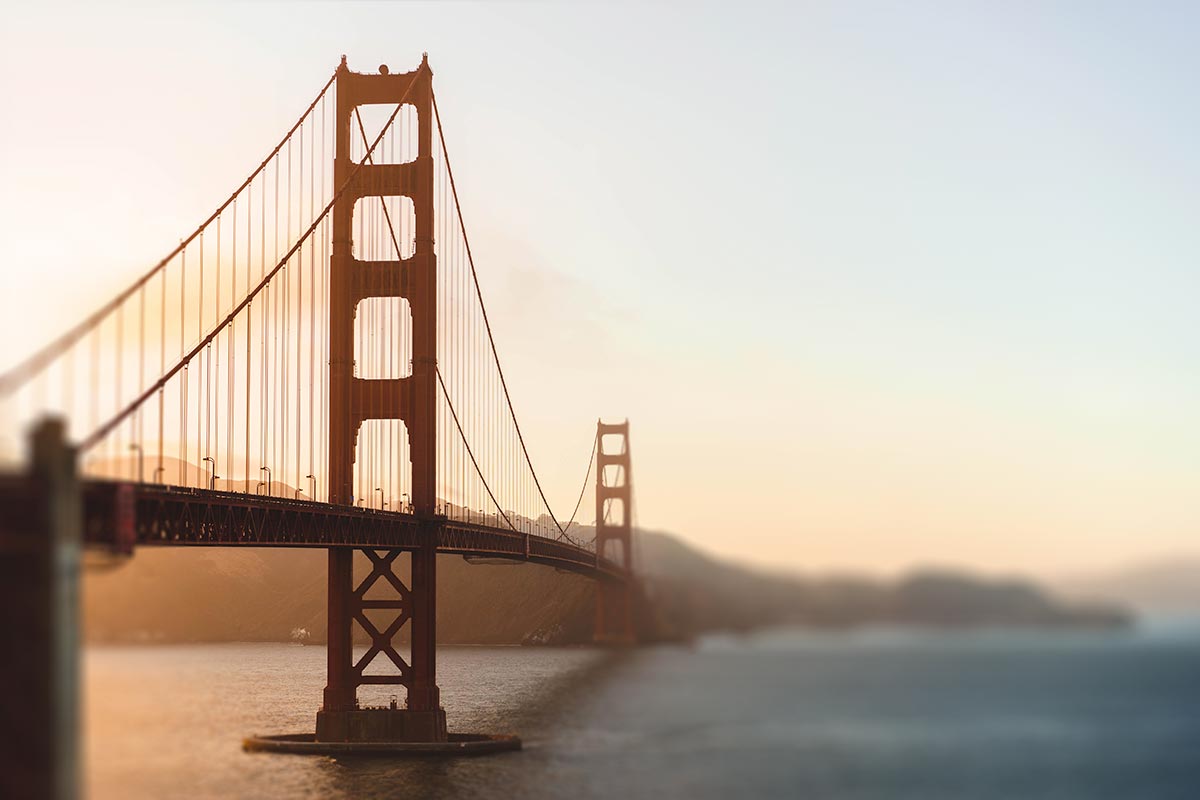 Landing Page Template Bundle