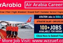 Air Arabia Careers | Best Job Postings UAE 2021 Air Arabia Careers