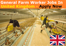 General Farm Workers Jobs In United Kingdom | Poultry Farm Jobs General Farm Worker Jobs In United Kingdom