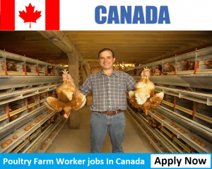 Poultry Farm Worker jobs In Canada