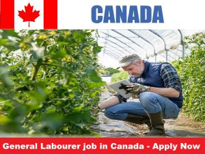 General Labourer job in Canada