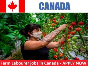 Farm Labourer jobs in Canada