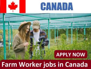 Farm Worker jobs in Canada with free visa sponsorship