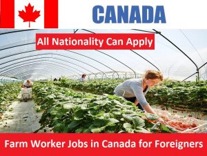 Farm worker jobs in Canada