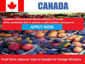 Fruit Farm Labourer Jobs in Canada For Foreign Workers