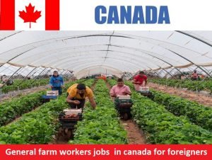General farm workers jobs in canada for foreigners