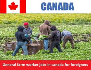 General farm worker jobs in canada for foreigners