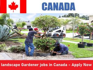 landscape Gardener jobs in Canada