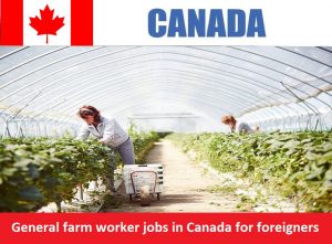 General farm worker jobs in Canada for foreigners