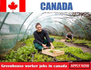 Greenhouse worker jobs in canada