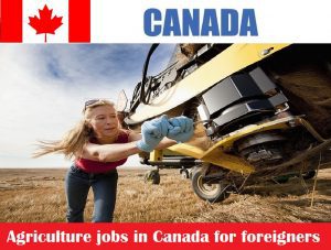 Agriculture jobs in Canada for foreigners