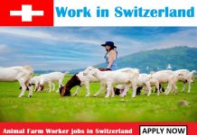 Animal Farm Worker jobs in Switzerland for foreigners | Urgent Hiring Animal Farm Worker jobs in Switzerland