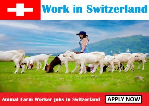Animal Farm Worker jobs in Switzerland