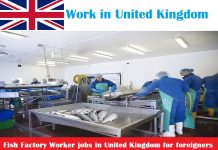 Fish Factory Worker jobs in United Kingdom for foreigners Fish Factory Worker jobs in United Kingdom for foreigners