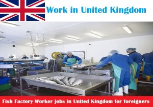 Fish Factory Worker jobs in United Kingdom for foreigners