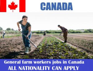 General farm workers jobs in Canada for foreigners