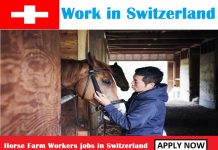 Horse Farm Workers jobs in Switzerland for foreigners Horse Farm Workers jobs in Switzerland