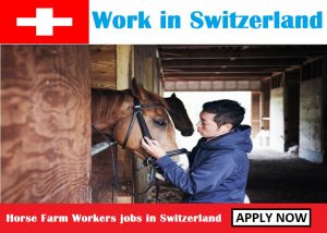 Horse Farm Workers jobs in Switzerland
