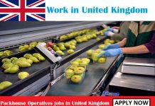Packhouse Operatives jobs in United Kingdom for foreigners Packhouse Operatives jobs in United Kingdom for foreigners