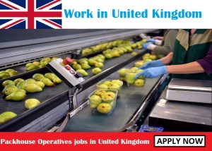 Packhouse Operatives jobs in United Kingdom for foreigners