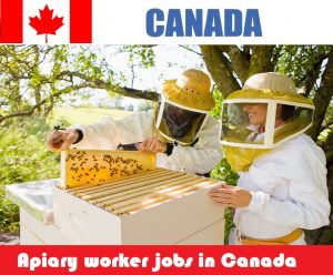 Apiary worker jobs in Canada for foreigners (NOC 8431)