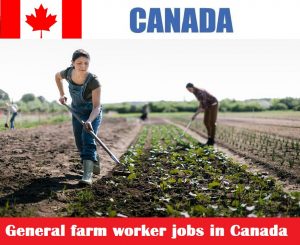 General farm worker jobs in Canada for foreigners