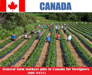General farm workers jobs in Canada for foreigners (NOC 8431)
