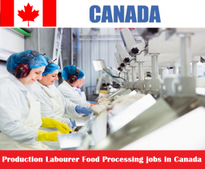 Production Labourer Food Processing jobs in Canada