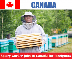 Apiary worker jobs in Canada for foreigners