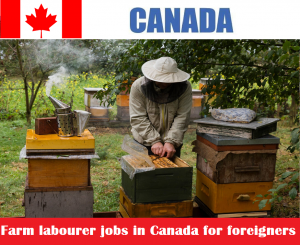 Farm labourer jobs in Canada for foreigners