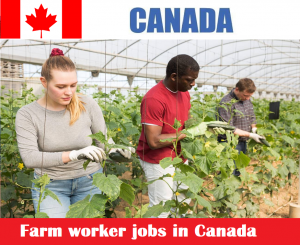 Farm worker jobs in Canada for foreigners