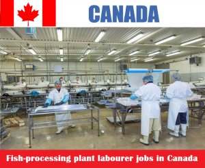 Fish-processing plant labourer jobs in Canada
