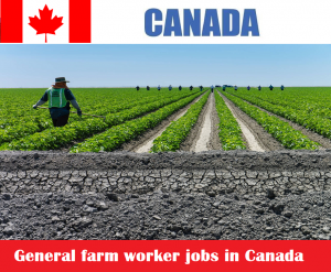 General farm worker jobs in Canada for Canadian and Foreigners