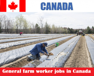 General farm worker jobs in Canada for foreigners