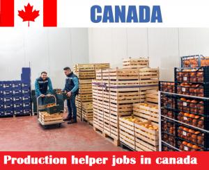 Production helper jobs in canada for foreigners - Apply Now