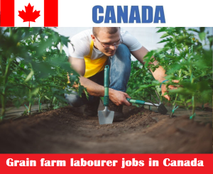 Grain farm labourer jobs in Canada