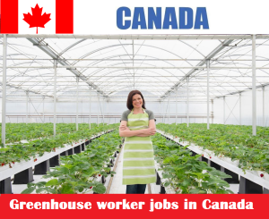 Greenhouse worker jobs in Canada for foreigners