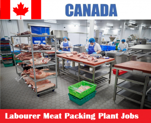 Labourer Meat Packing Plant Jobs in Canada