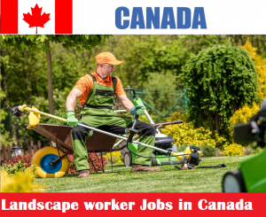 Landscape worker Jobs in Canada for foreigners