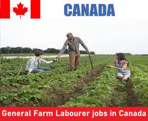 General Farm Labourer jobs in Canada for foreigners