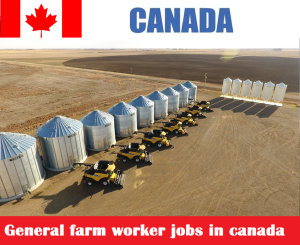 General farm worker jobs in canada