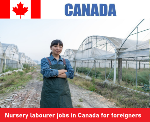 Nursery labourer jobs in Canada for foreigners