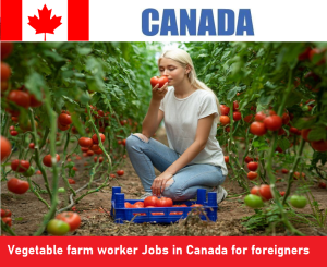Vegetable farm worker Jobs in Canada for foreigners 2023