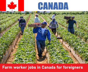 Farm worker jobs in Canada for foreigners 2023