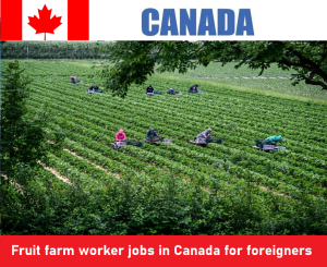 Fruit farm worker jobs in Canada for foreigners