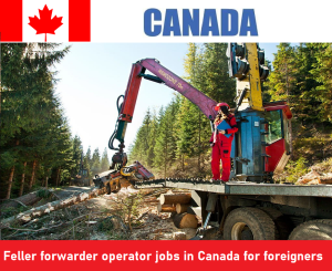 Feller forwarder operator jobs in Canada for foreigners