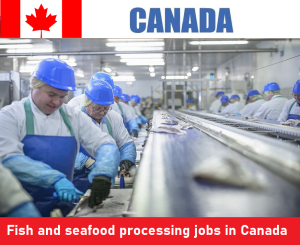 Fish and seafood processing jobs in Canada