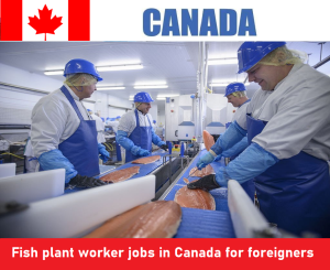 Fish plant worker jobs in Canada for foreigners
