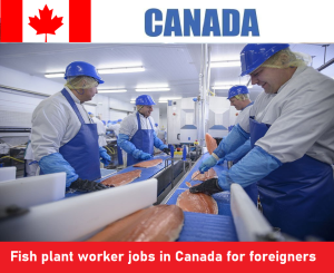 Fish plant worker jobs in Canada for foreigners
