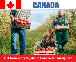 Fruit farm worker jobs in Canada for foreigners